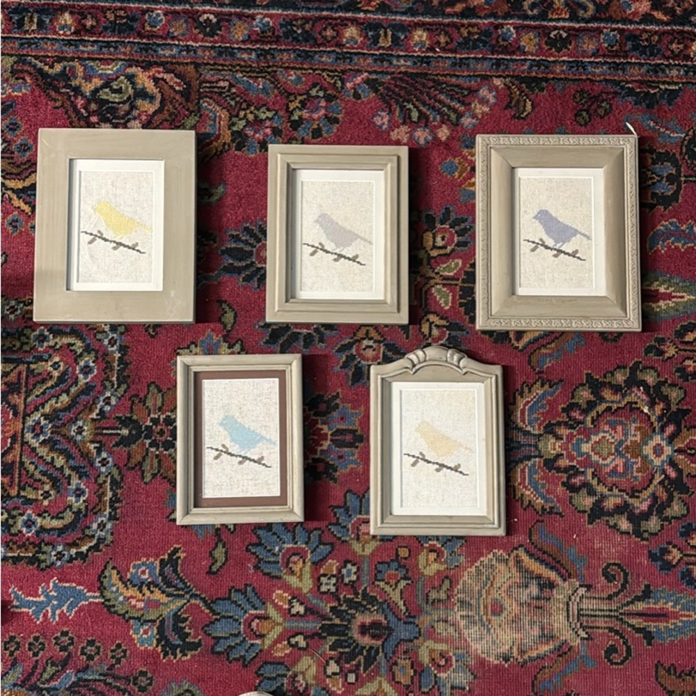 Set of 5 Bird Art Prints in Frames